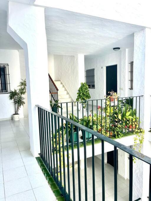 Apartamento El Gato Gris Conil De La Frontera Exterior foto